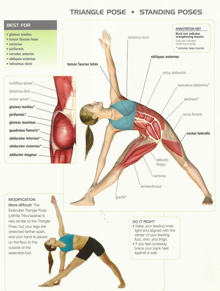 Yoga Anatomy Worksheets